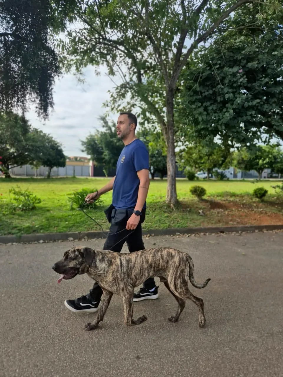 Ricardo passeando na guia com um cão tigrado