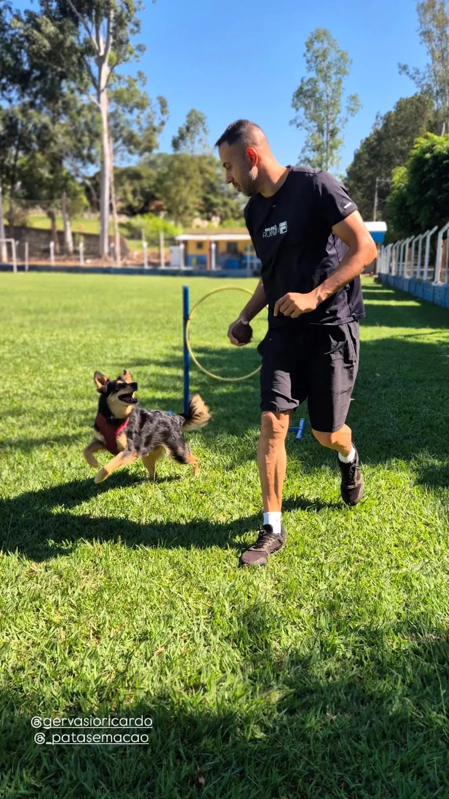 Ricardo andando no campo com um cão ao lado