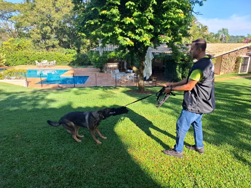 Ricardo conduzindo um pastor na guia no gramado